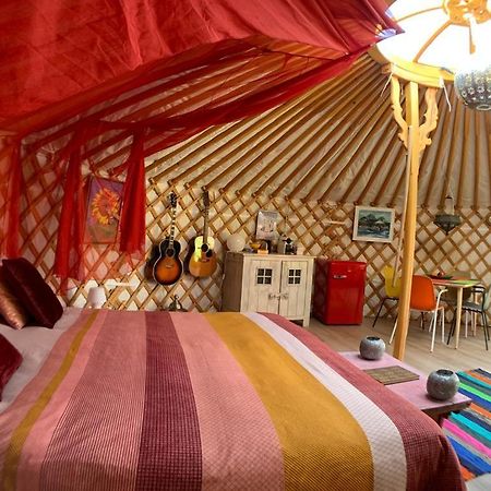 Overnachten In Een Luxe Yurt! Zonnemaire ภายนอก รูปภาพ